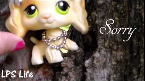 LPS MEP: Gold Part 10 for ToriLPS Tv