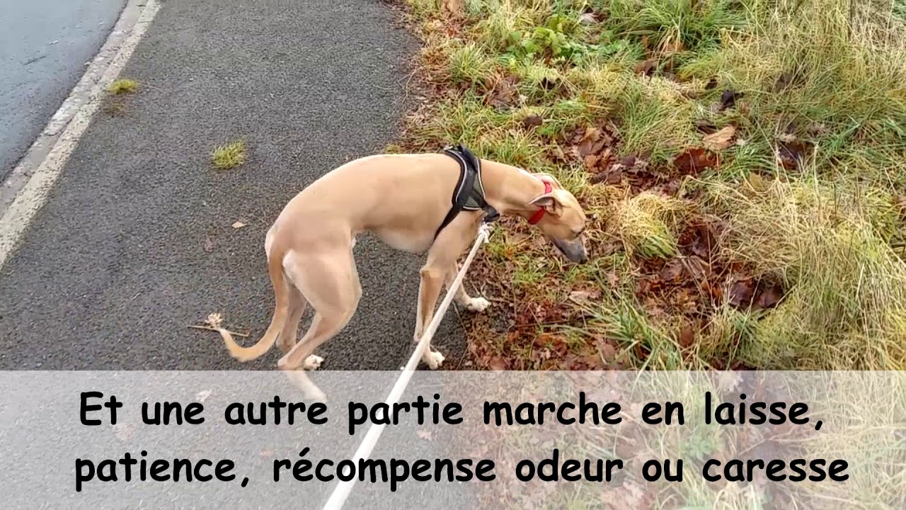 Garderie récréative n°16