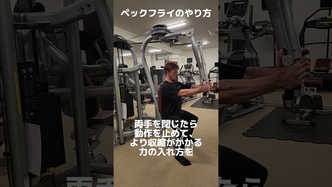 ペックフライ Pec Fly Rear Delt Pro | Juke Gyms