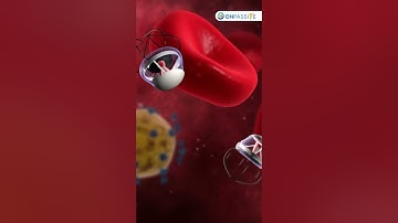 Meet the microrobots set to transform the healthcare landscape