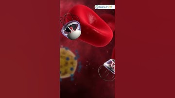 Meet the microrobots set to transform the healthcare landscape