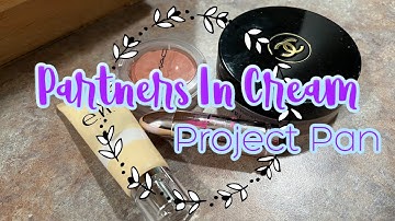 #PartnersInCream2022 Project Pan Intro
