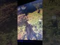 Bag, mistake in Red dead Redemption2 #rdr2 #reddeadredemtion2 #youtube