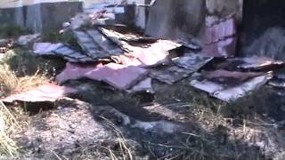 Download lagu SIPRIANUS ATOK KUPANG NUSA TENGGARA TIMUR DUGA BAKAR RUJAB BUPATI KUPANG SEWA DUKUN 01C SIPRIANUS ATOK KUPANG NUSA TENGGARA TIMUR DUGA BAKAR RUJAB BUPATI KUPANG SEWA DUKUN 01C