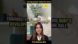 Famous Ruby's Second Chance: From Shelter Dog to Life-Changing Service Animal Ep 3 Wealth