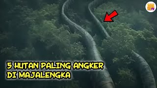 Awas Ketemu Makhluk Ini! Inilah 5 Hutan Paling Angker di Majalengka