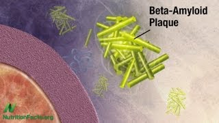 Amyloid And Apple Juice