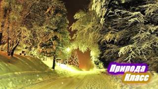 Winter forest road 3 Зимние лесные дороги 3