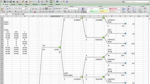 Risk Profiles with Decision Trees in Excel: A Strategy Example