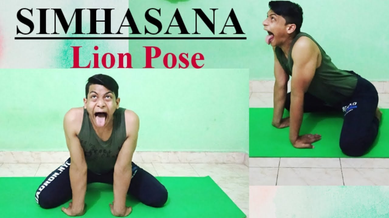 HOW TO DO SIMHASANA LION POSE STEPS BENIFITS PRECAUTIONS YouTube