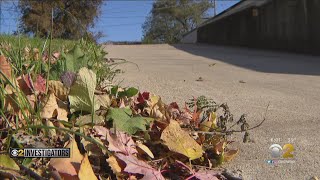 Joliet Township Workers Said They Were Made To Work On Supervisor's Property