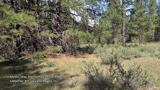 Mystic Way, Klamath Falls, OR 97601 | Homes For Sale in Klamath Falls Oregon | Just Added