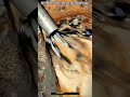 Factory Sludge Removal Process : How Dirty Waterways Are Washed