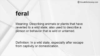 feral Meaning