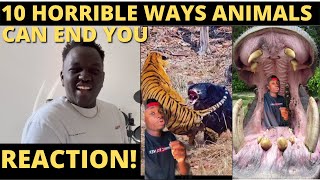 10 Horrible Ways Animals Can End You REACTION