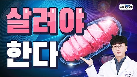 오래 살고 싶다면 꼭 살려야합니다. | 세포 속부터 살리는 영양소 feat.오토파지