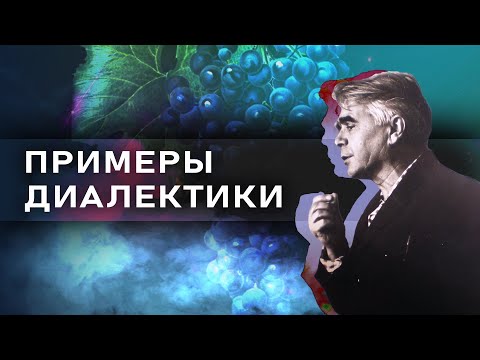 Примеры диалектики // Зелёный виноград диалектики №12