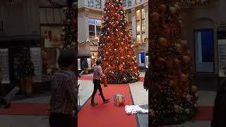 WOKE European Climate Activists VANDALIZE Christmas Trees