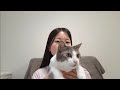 朝ごはんを食べたよ の動画、YouTube動画。