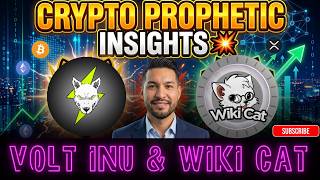 Crypto Prophetic Insights Volt Inu Wiki Cat