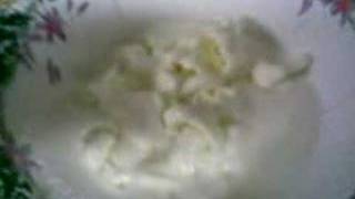 Cornstarch & Water @ 62 Hz