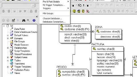 Tutorial ERWIN R7- SQL SERVER 2005