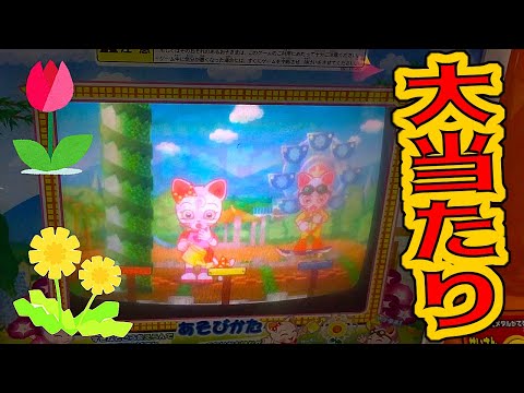 メダルゲーム】ドキドキフラワー大当たり！ - YouTube