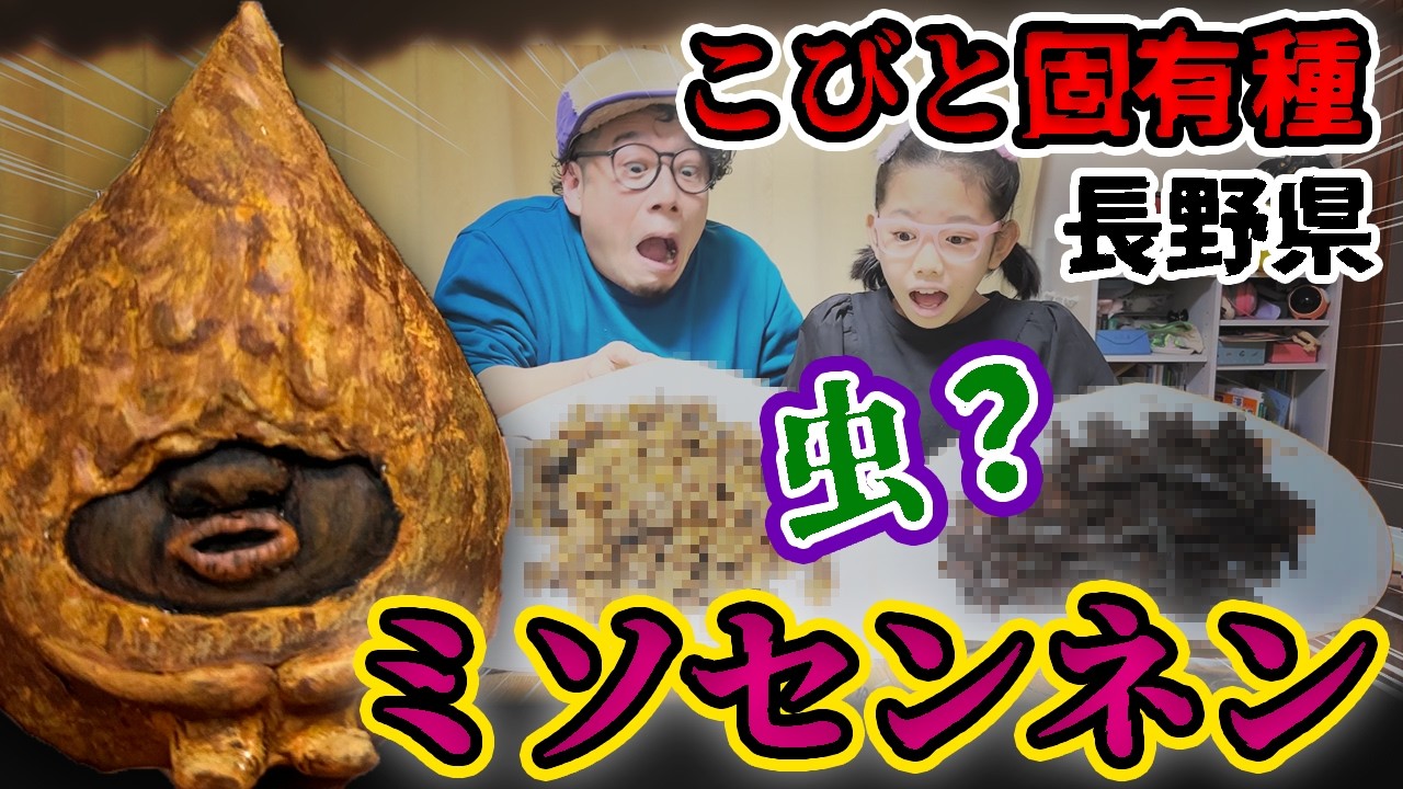 【こびと固有種】ミソセンネン【こびとづかん】長野県のコビト