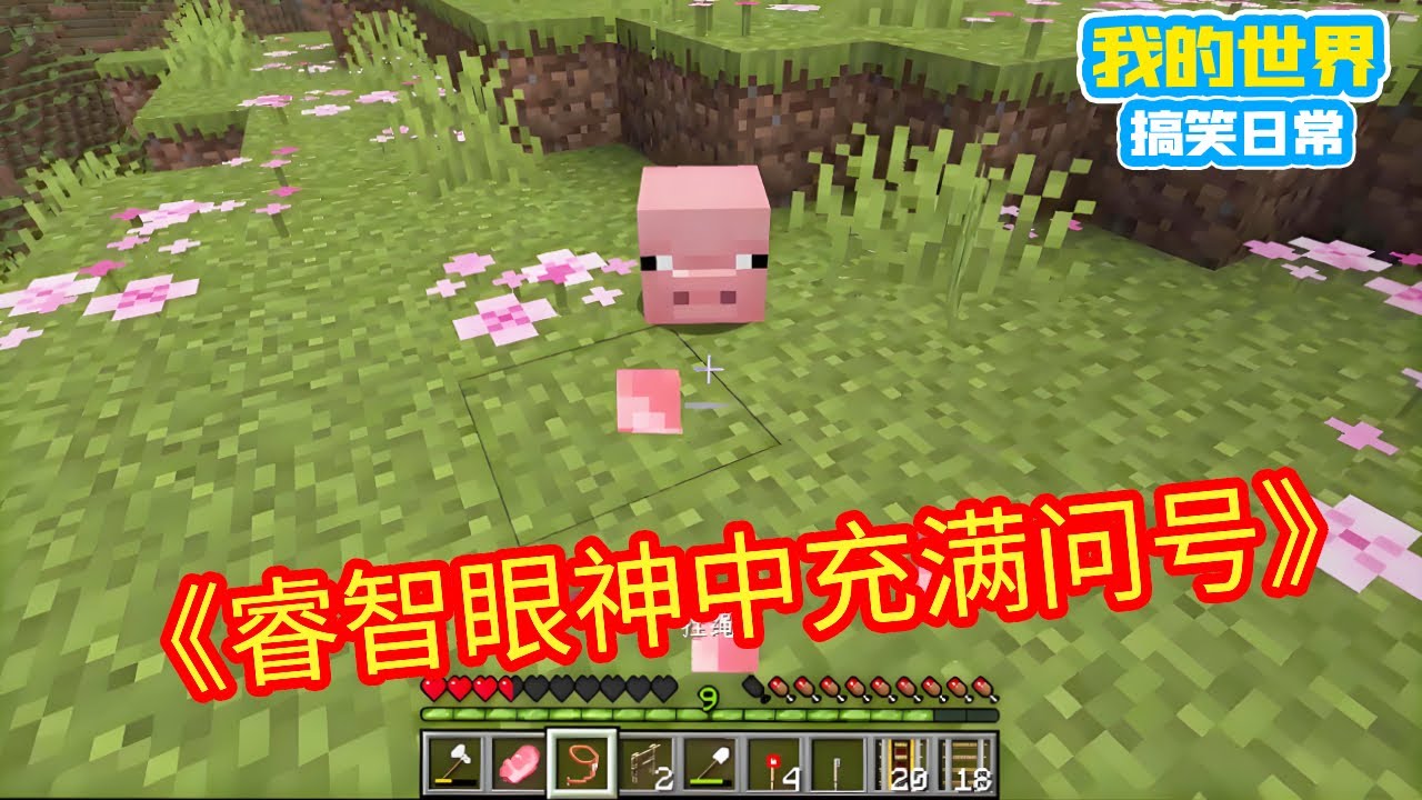 Minecraft:猪爸:我先被吃的,你怎么比我上来还快?小猪:我打飞的来的!猪爸:???【方块轩】 - YouTube