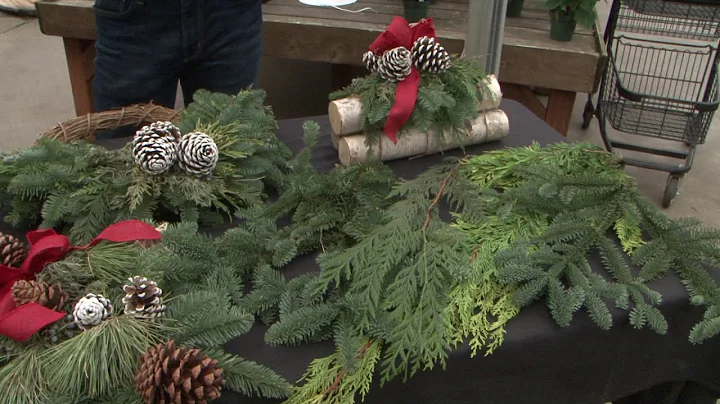 Preserving Holiday Greens