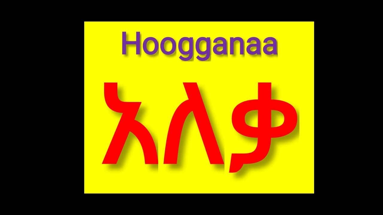 Learn Afaan Oromoo in Amharic part 6 @ishowspeedmt