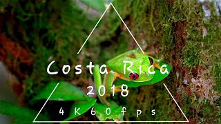 Credits to the channel @JacobKatieSchwarz Costa Rica in 4K60fps HDR #shorts