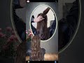 Here comes the detailed tutorial on Xu Yan s semi-tied hair at the waterfall. Curly ha
