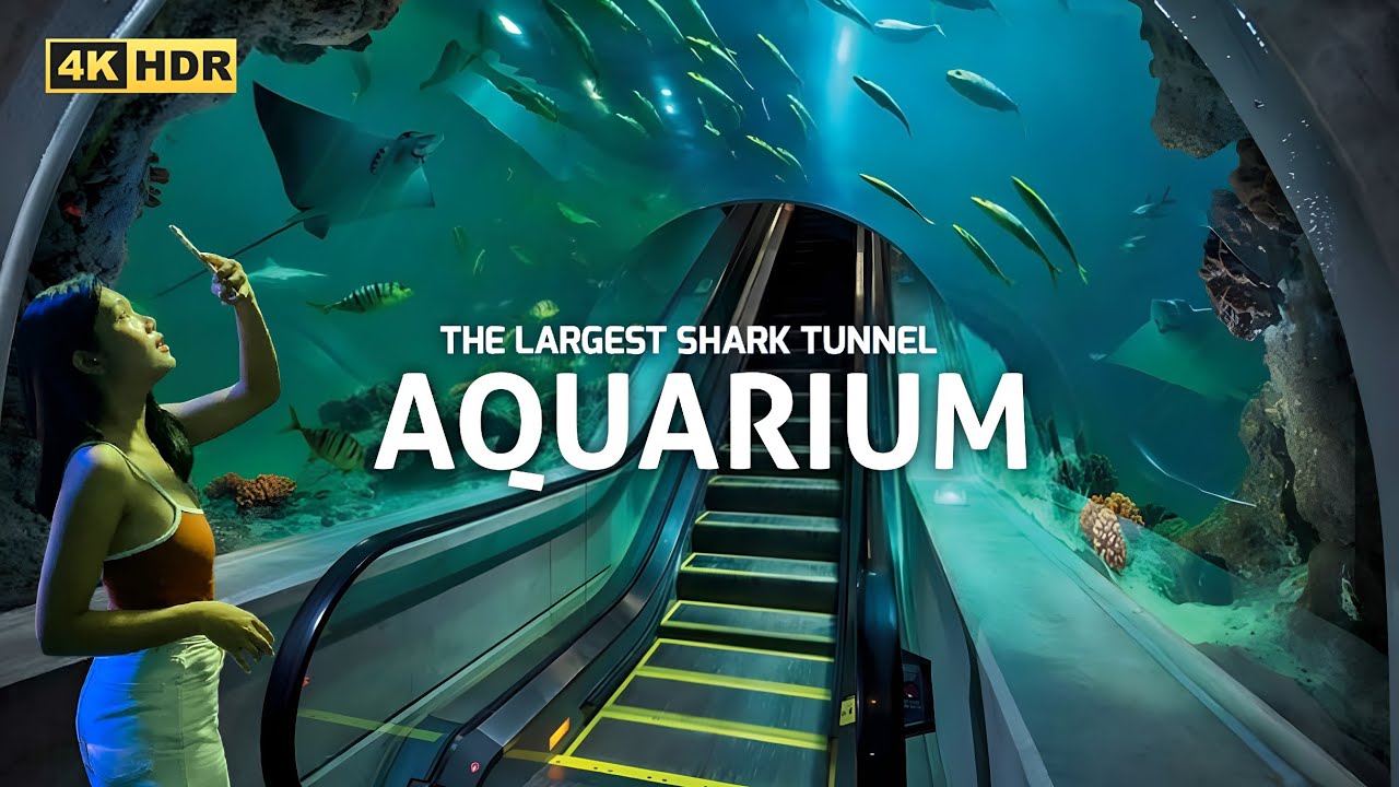 The longest & largest SHARK TUNNEL in Southeast Asia ! Bung Chawak Aquarium, Thailand 