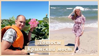 🪷 ДОЛИНА ЛОТОСОВ | КРЫМСКИЙ МОСТ | АЗОВСКОЕ МОРЕ 🌊