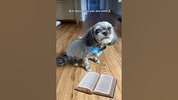 THE Enemy Thought He Had Me, But Jesus Said You Are Mine😂😂