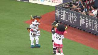 2014/9/6 B・Bがベルちゃんを泣かしてブル君もドン引き