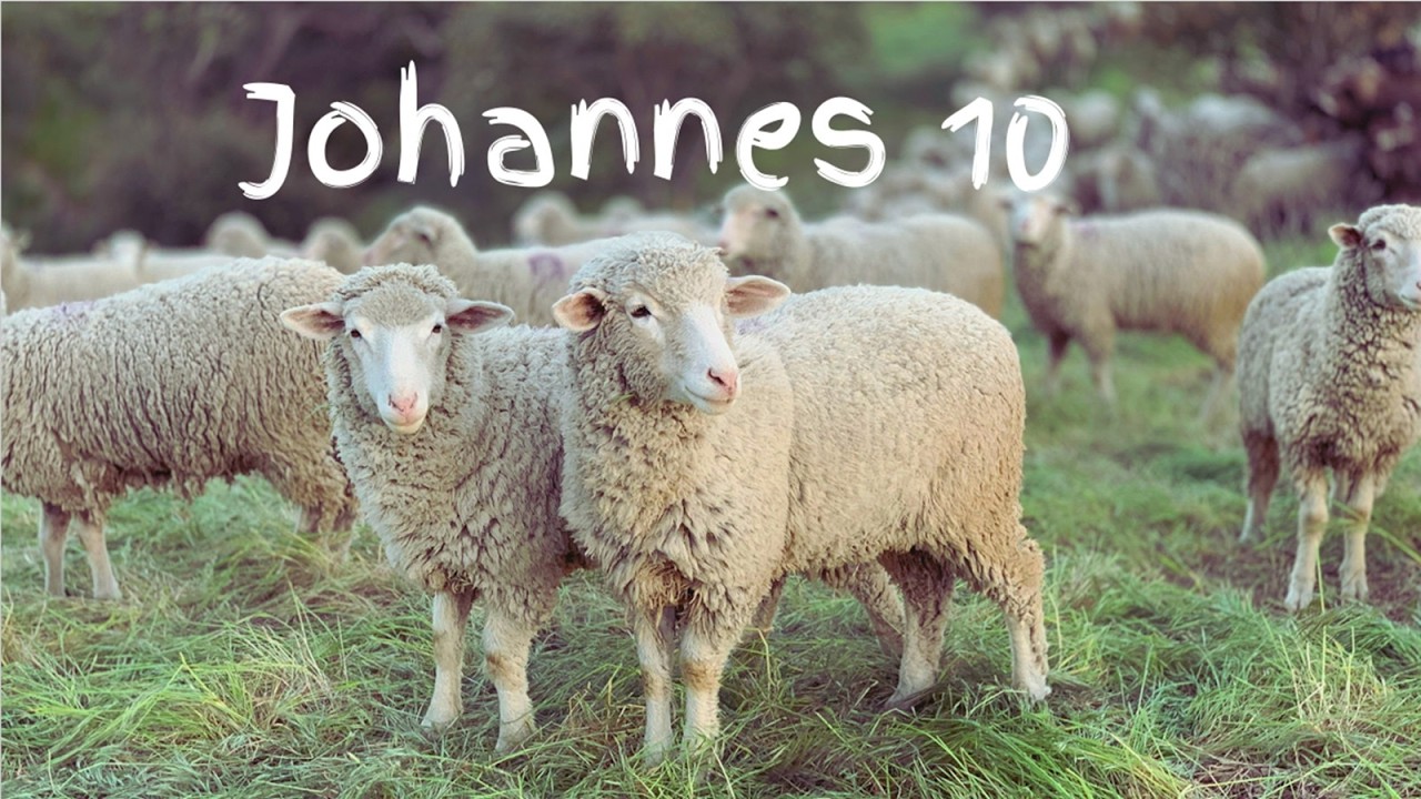 Johannes 10