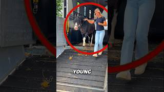 This Horse Couldn't Hide Its Happiness🐴❤️#shorts This Horse Couldn't Hide Its Happiness🐴❤️#shorts