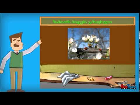 წელიწადის ოთხი დრო     ლია ჯაბანაშვილი