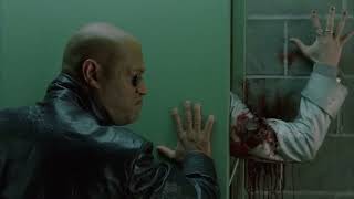 Trinity Vs Twins The Matrix Reloaded Open Matte 8