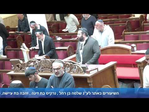 הרב אייל עמרמי - תפילת מנחה וערבית - י' אייר תשפ"ו