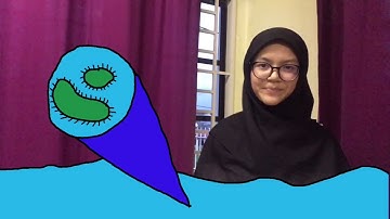 [KLESF International Challenge 2021] S120 Plasticotroph