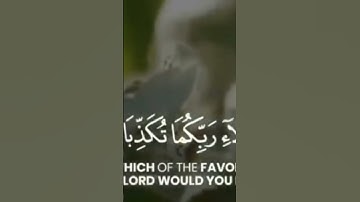 ولمن خاف مقام ربه جنتان/تلاوة خاشعة/ماهر المعيقلي