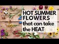 10 HOT SUMMER garden FLOWERS that take the HEAT - plus TIPS for WHEN and HOW to plant them