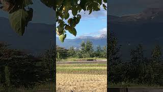 IMG 6783