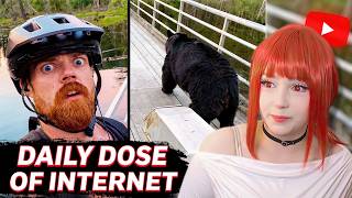 UpMinaa Reacts to Daily Dose Of Internet "He Thought It Was His Time"
