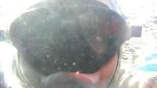DSCN0073.AVI