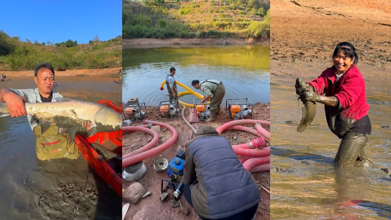 Bỏ 11.000 tệ mua lại hồ chứa nước 16 năm chưa từng cạn, bên trong rốt cuộc có bao nhiêu cá