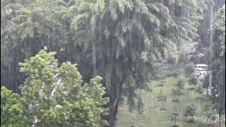 SINGAPORE AMBIENT RAIN || SINGAPORE RAIN WITH THUNDERSTORMS || STRESS RELEASING MUSIC
